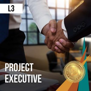 Project Executive - Learning Path L3 - Payment Plan